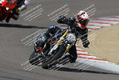 media/Mar-17-2024-Fastrack Riders (Sun) [[c7d6f8c14c]]/Level 2/Turn 5/